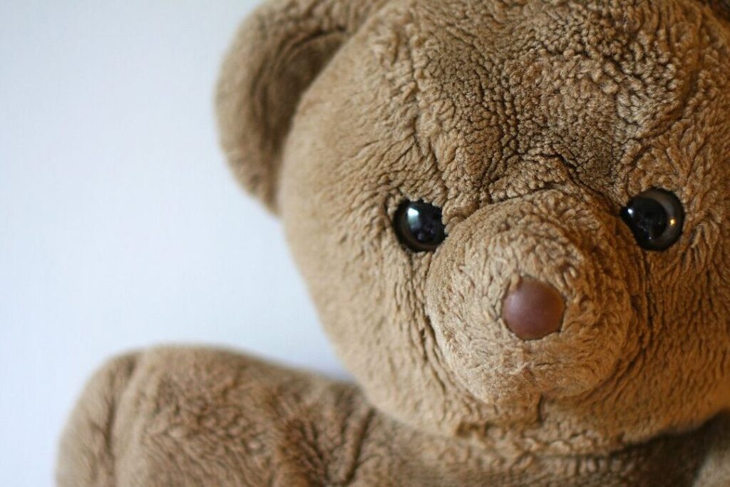 Ya quoi à l&rsquo;intérieur d&rsquo;une peluche ?
