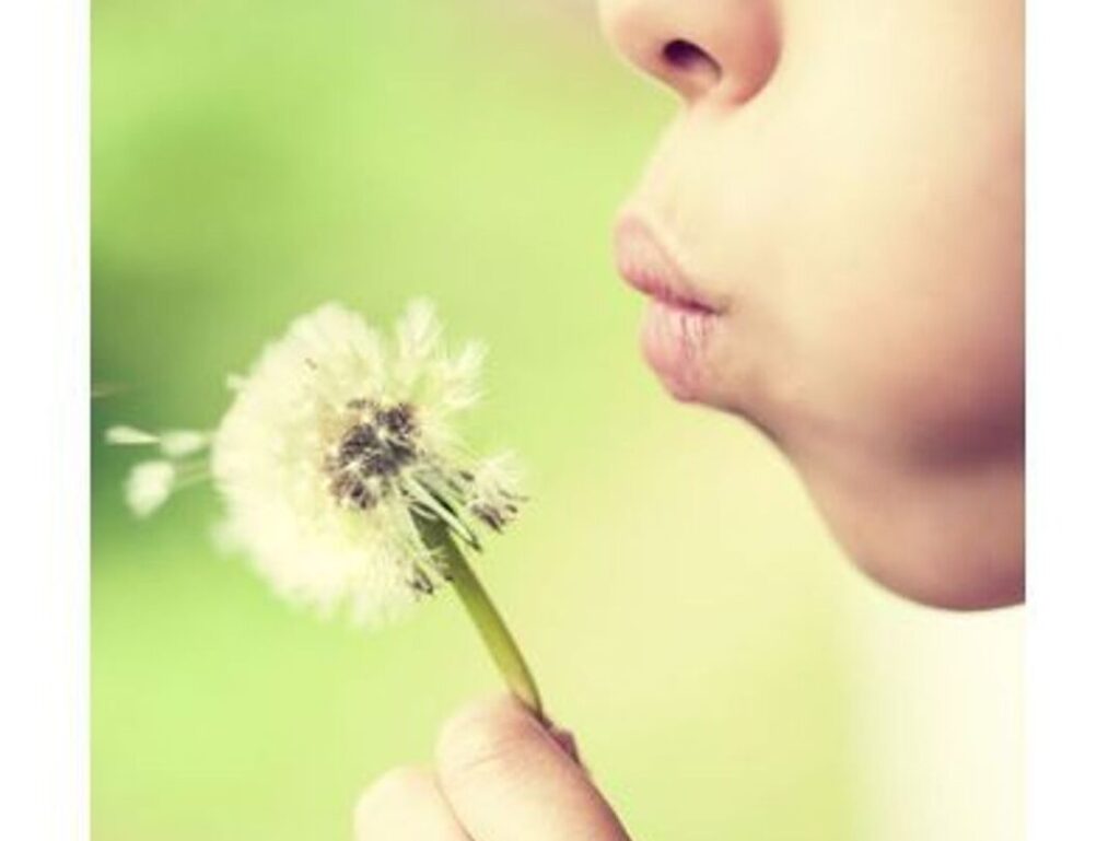Comment lutter contre les allergies saisonnières ?