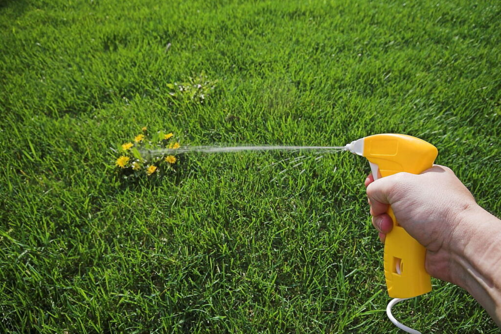 Quel désherbant choisir pour un jardin écologique ?