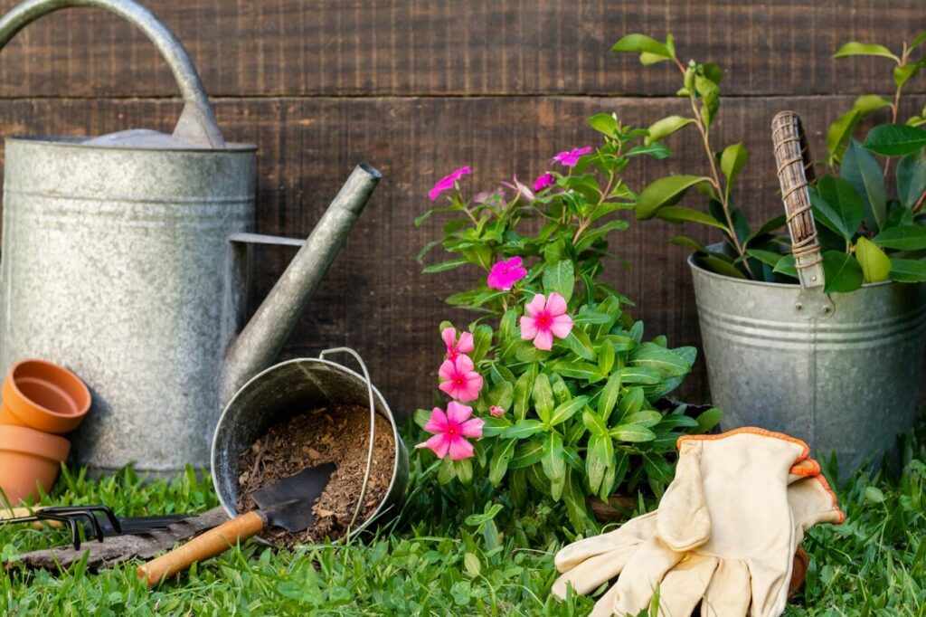 Idée déco jardin extérieur pas cher : comment embellir votre espace sans vous ruiner ?