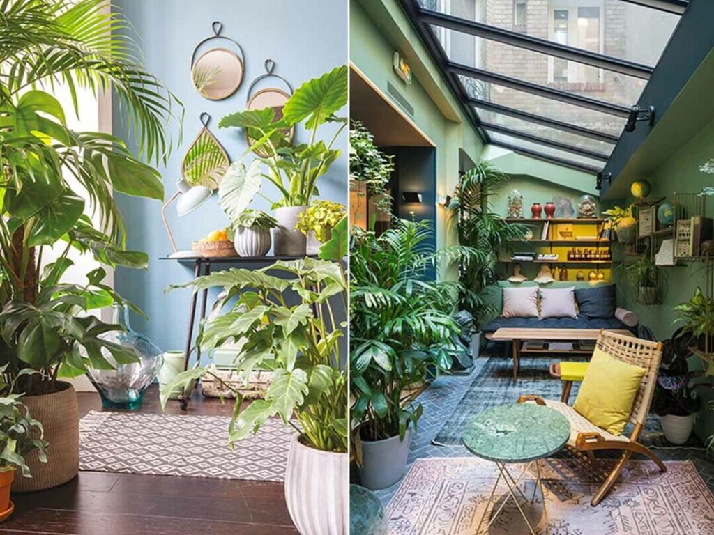 Comment intégrer les plantes d&rsquo;intérieur dans la déco tendance actuelle ?