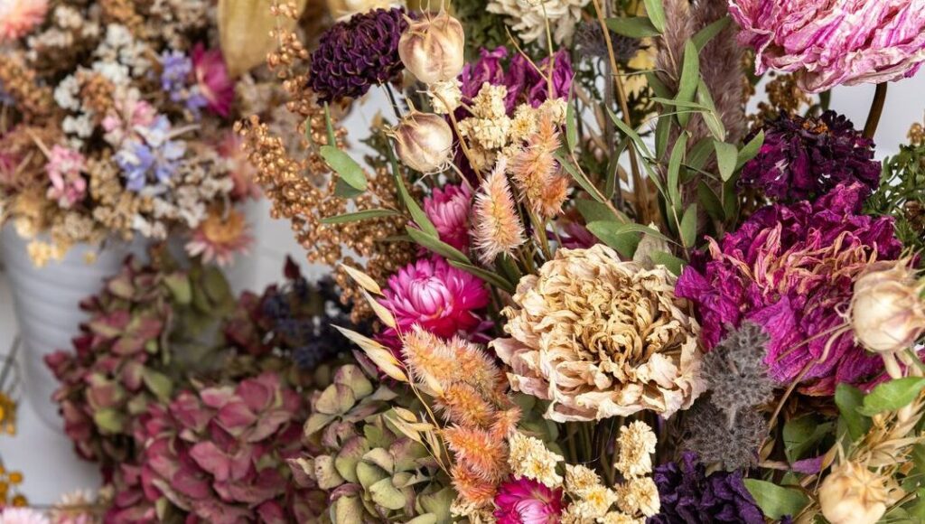 Comment sécher les hortensias pour une décoration durable ?