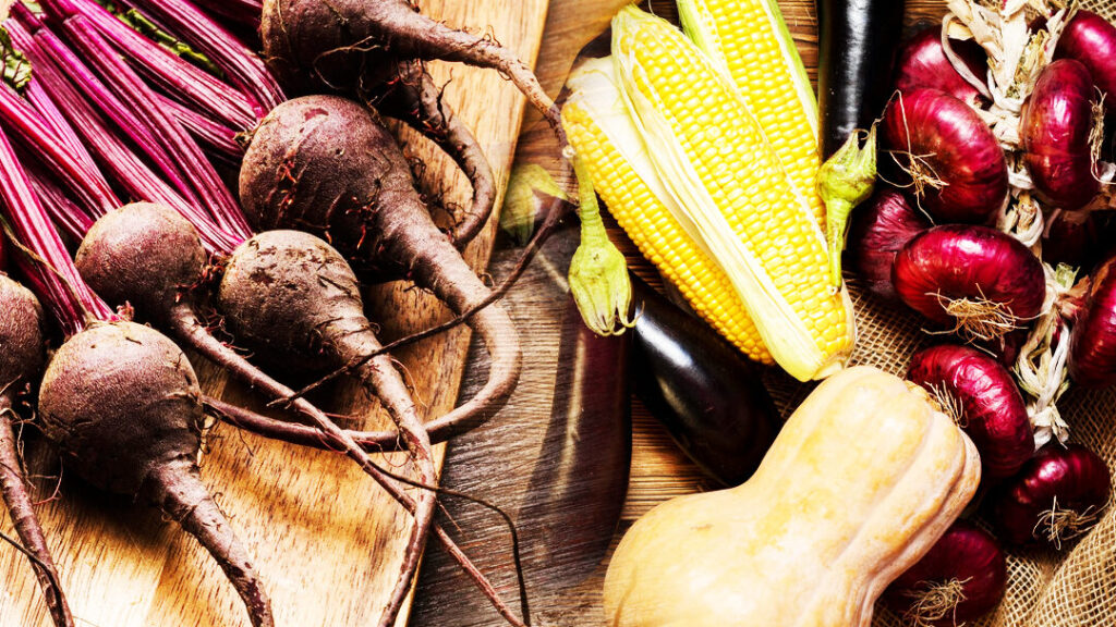 Légumes d&rsquo;antan : comment les cultiver dans votre jardin moderne ?