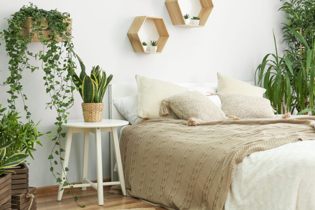 Comment choisir une plante pour décorer une chambre ?