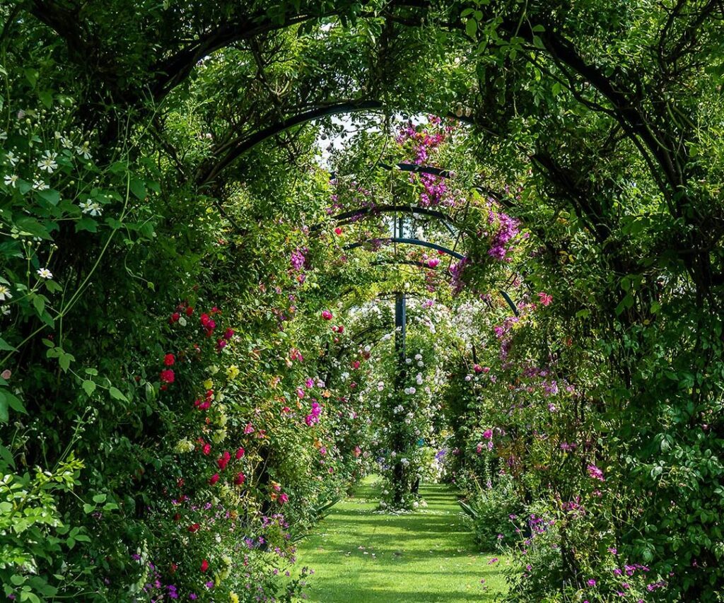 Les avantages d&rsquo;une bulle de jardin pour profiter de la nature