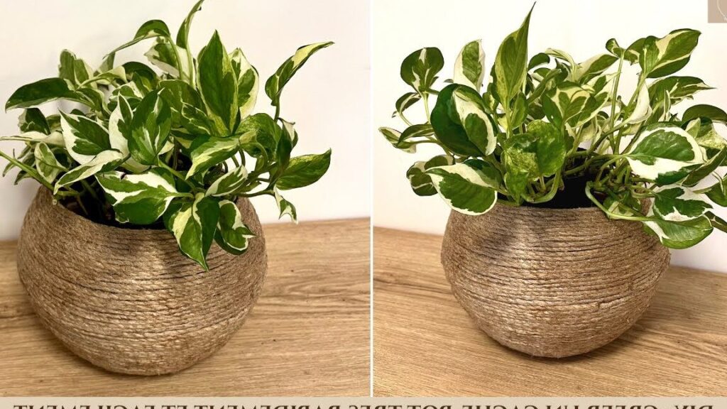 Comment réaliser un cache pot DIY facilement