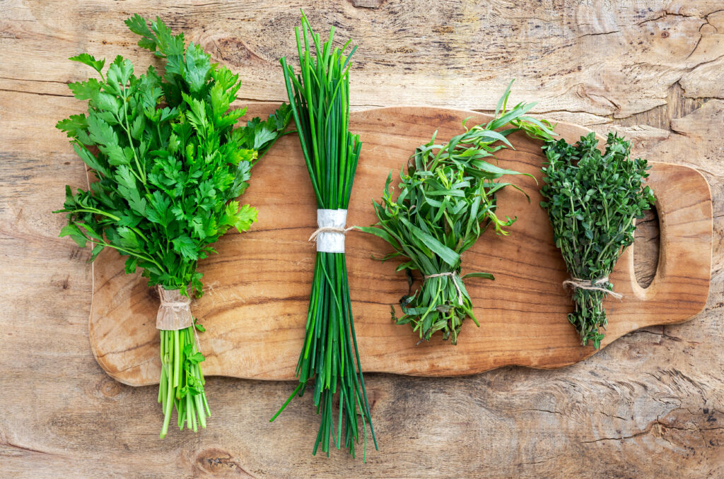 Quels aromates à planter pour rehausser vos plats au quotidien ?