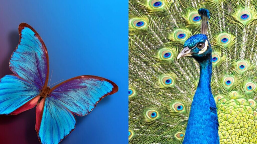 Pourquoi votre verre d&rsquo;eau change-t-il de couleur ? Les explications surprenantes