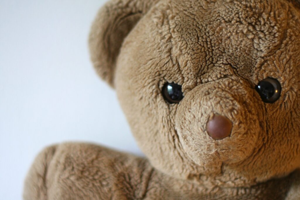 Y&rsquo;a quoi dans une peluche ?