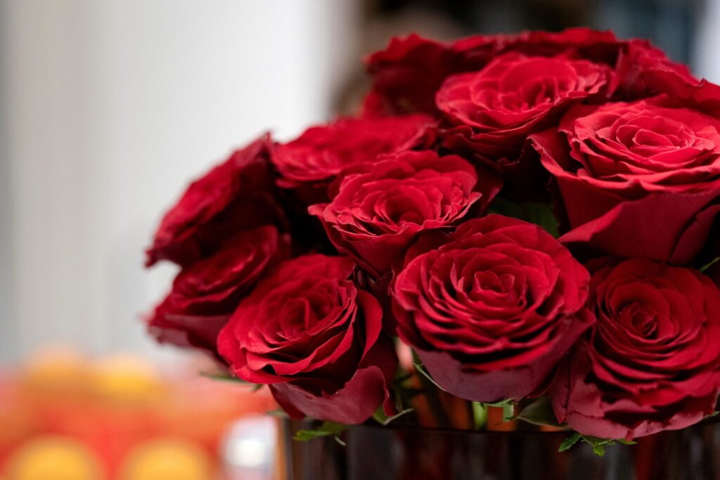 Pourquoi les roses éternelles ne fanent pas ?