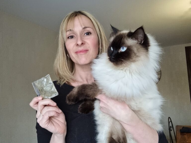 Un chat découvre les effets apaisants de l'herbe à chat