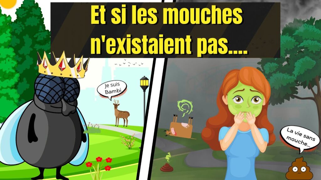 Gros plan d'une mouche posée sur une feuille illustrant son rôle dans l’écosystème.
