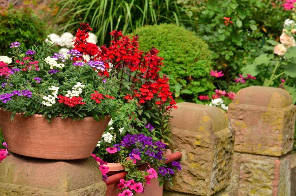 Comment choisir des plantes fleuries pour votre jardin urbain ?