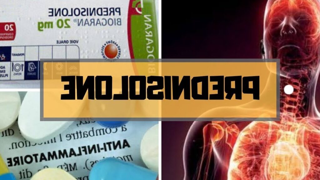 Prednisone 20 mg : quelle posologie par jour ?