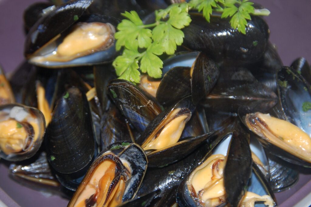 Témoignages gourmands : quelle quantité de moules frites par personne selon les avis ?