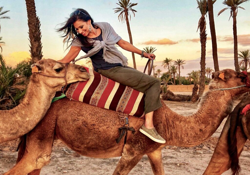 Prix d’un chameau à Marrakech : combien ça coûte vraiment ?