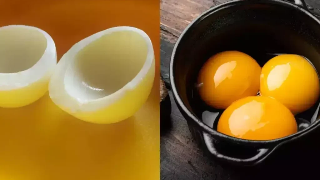 Protéine œuf blanc ou jaune : quelle est la meilleure source ?