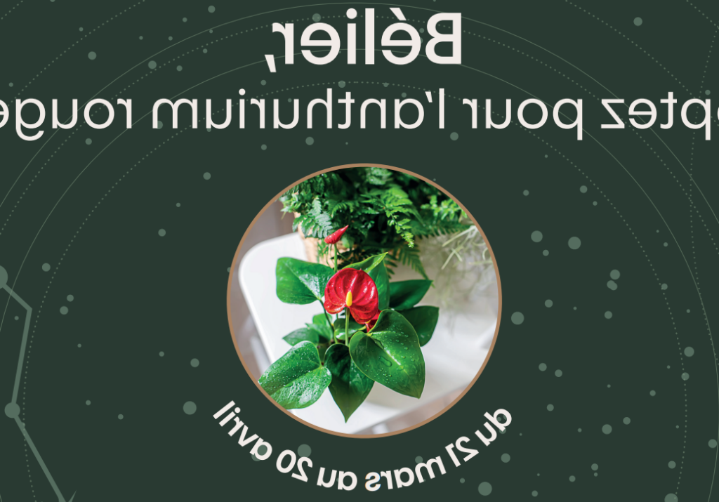 Quelle fleur correspond à votre signe astrologique ?