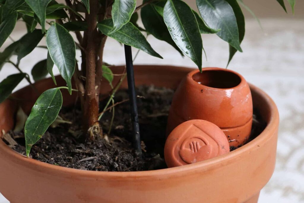 Comment fabriquer des oyas maison pour un arrosage écologique de vos plantes ?