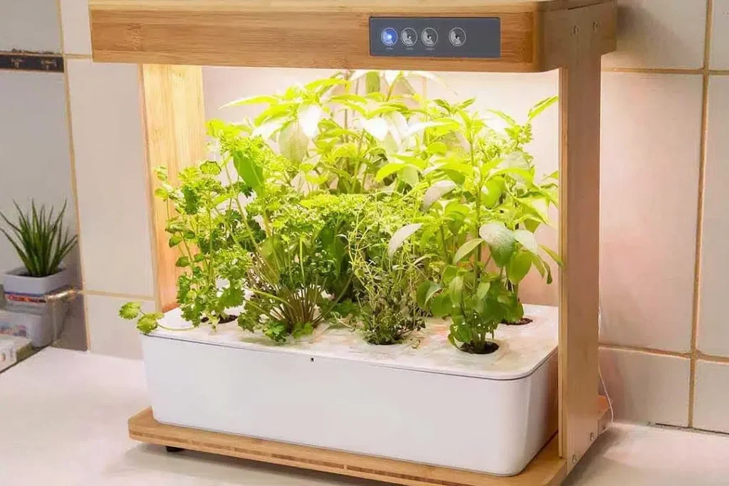 Comment cultiver un potager d’intérieur même dans un petit espace ?