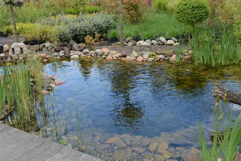 Quelles plantes choisir pour embellir votre bassin de jardin ?