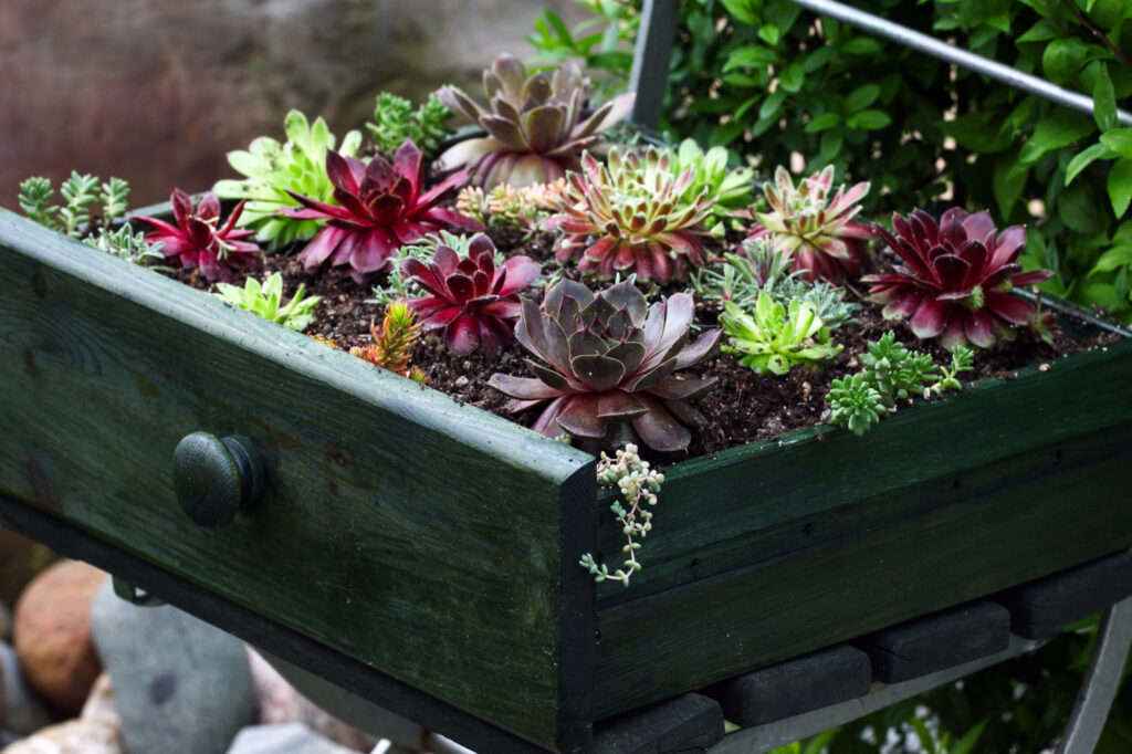 Comment restaurer et valoriser votre banc de jardin ancien ?