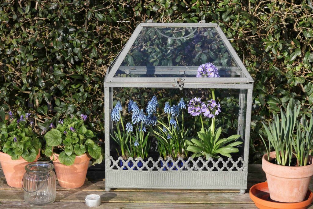 Comment choisir la meilleure serre d’intérieur pour vos plantes ?