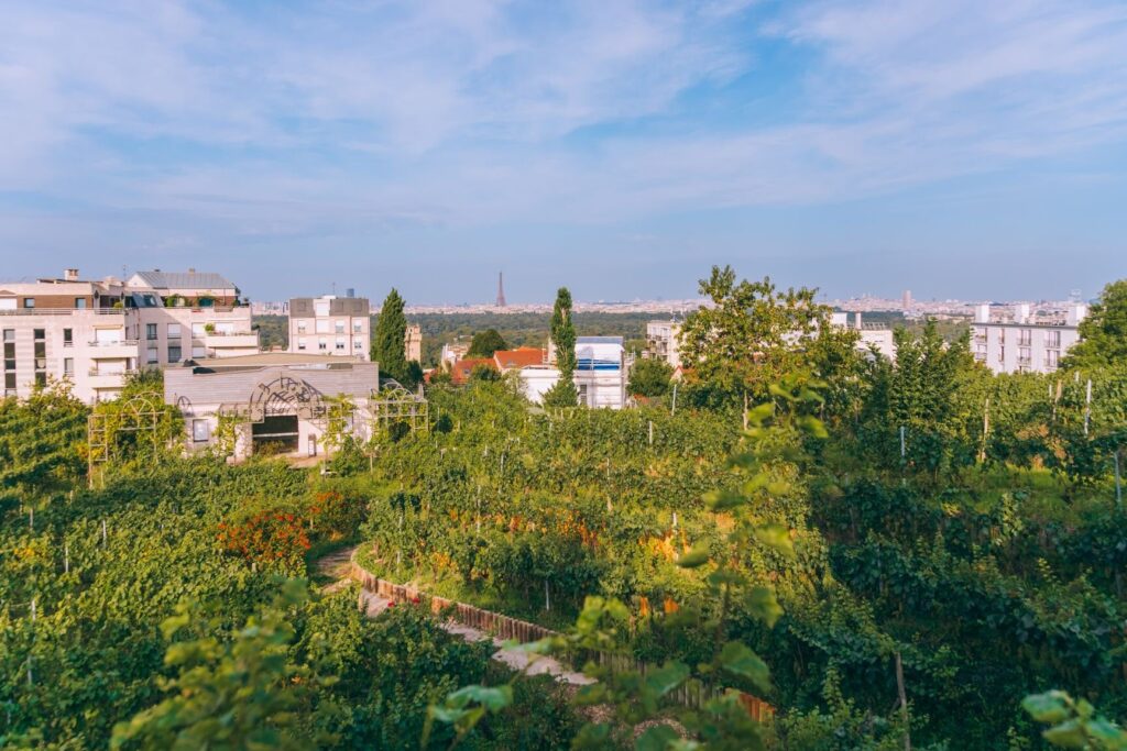Terrasse du Fécheray : un havre de paix aux portes de la ville ?