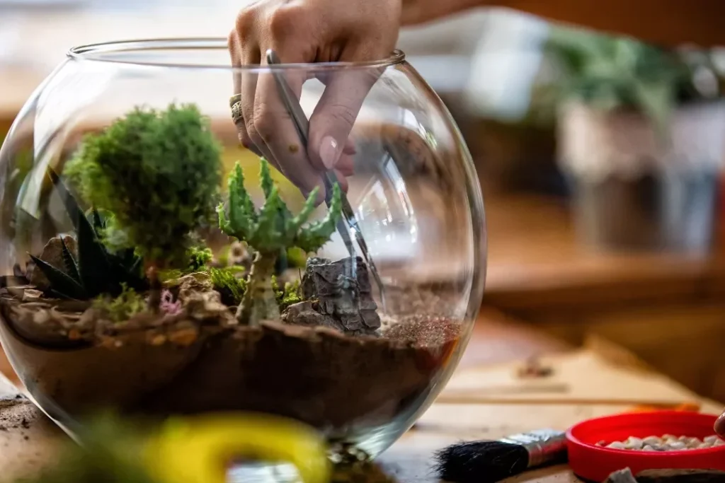 Comment réaliser un terrarium pour sublimer votre intérieur ?