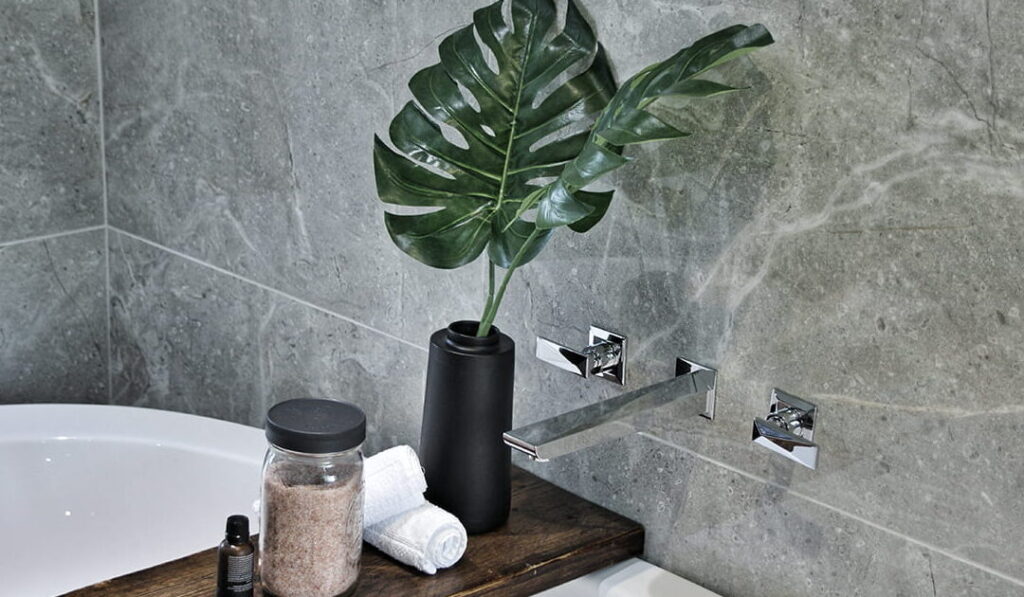 Quelles plantes choisir pour une salle de bain zen et fraîche ?