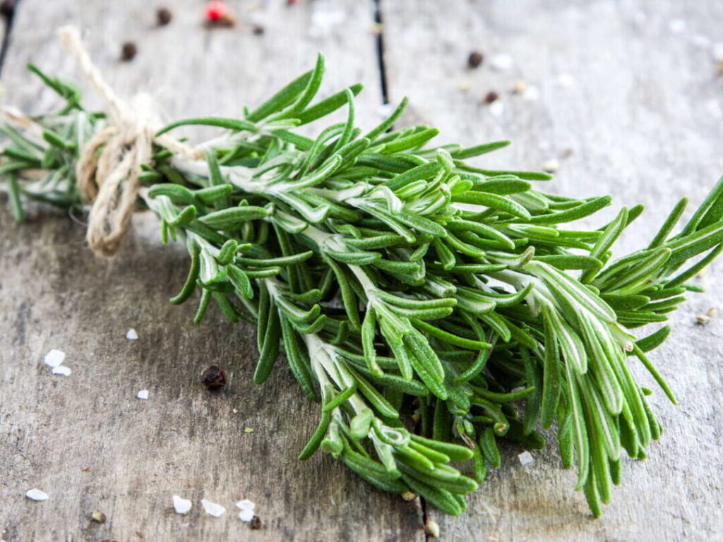 Quels sont les 7 aromates incontournables pour relever vos plats ?